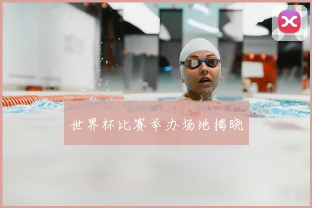世界杯比赛举办场地揭晓