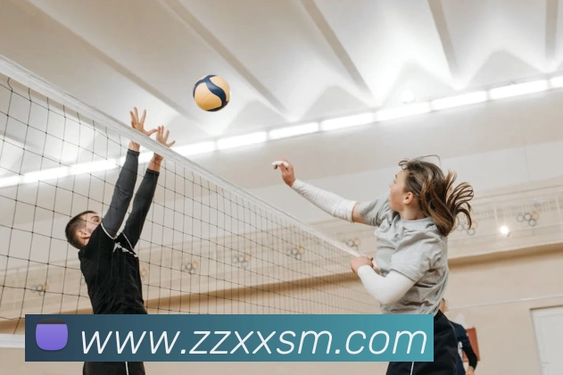 App Interface Preview