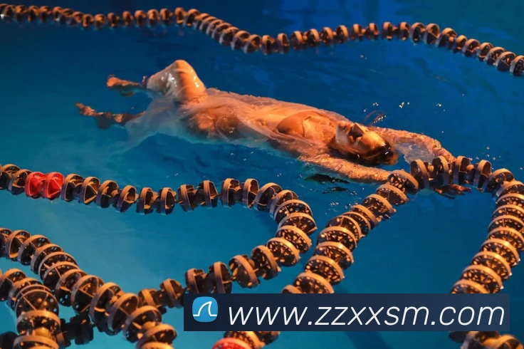 世界杯官网登录appAPP 封面图